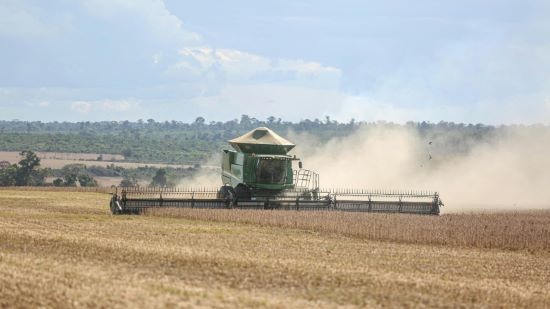 SOJA NA BAHIA: Colheita avança com produtividade recorde